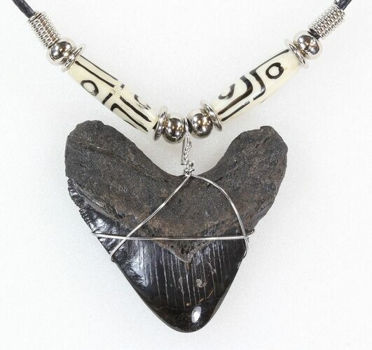 Polished Megalodon Tooth Necklace #43173